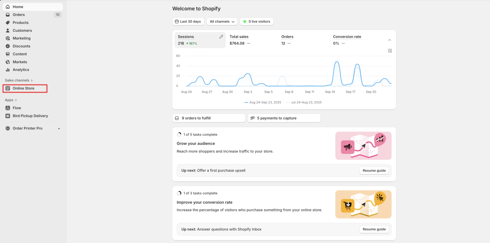 Shows the Shopify admin navigation with Online Store section highlighted